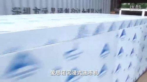 愛思諾速凍機(jī)，沉浸式速凍機(jī)，小型工業(yè)速凍設(shè)備